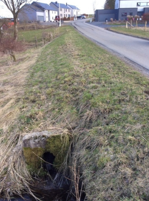 CR 21